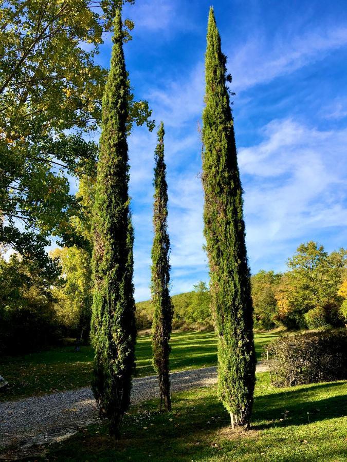 Il Molinaccio Villa Gaiole in Chianti Dış mekan fotoğraf